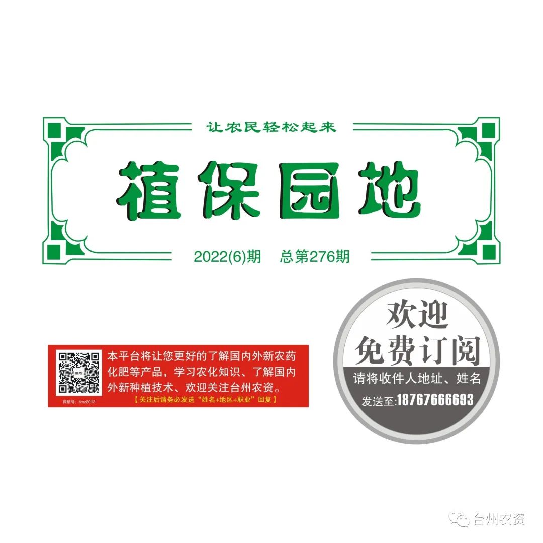 梅雨季節(jié)來(lái)臨，柑橘即將穩(wěn)果，注意管理好夏梢，合理施肥打藥
